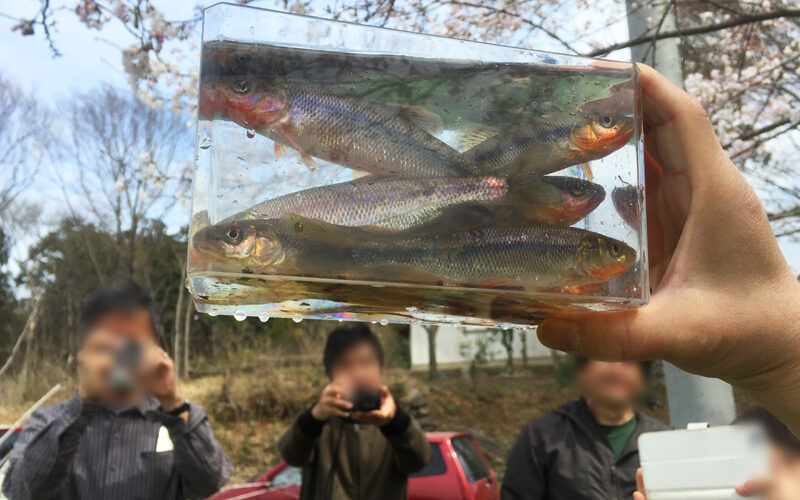 嬉し恥ずかしの釣り＆野草Bar