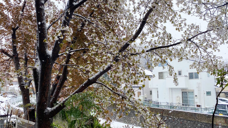 まもなく雨、そして夜更けには雪にかわった