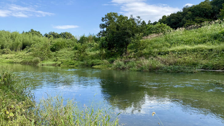 鄙びた川、愛すべき長閑な川