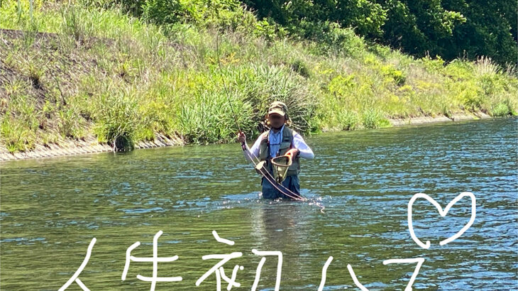 人生初ハス、天上の渓
