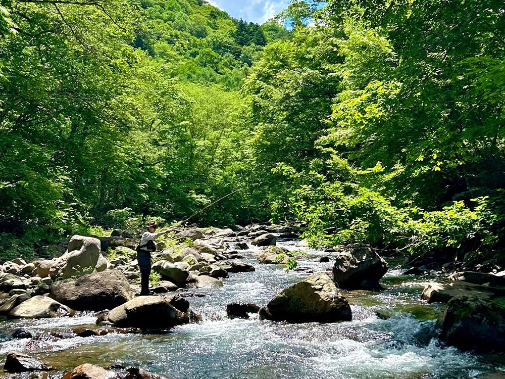 夏のイワナ釣り