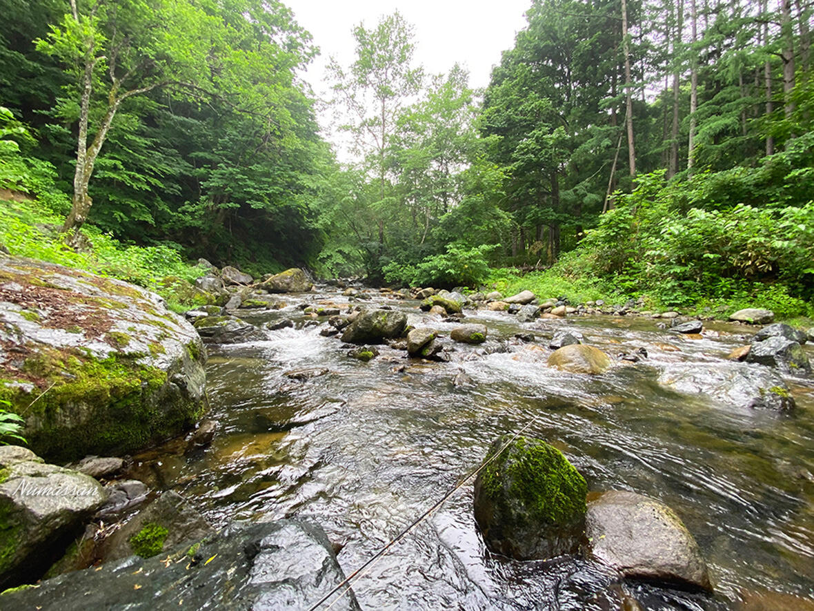 「何度でも来たくなる好きな渓」の写真