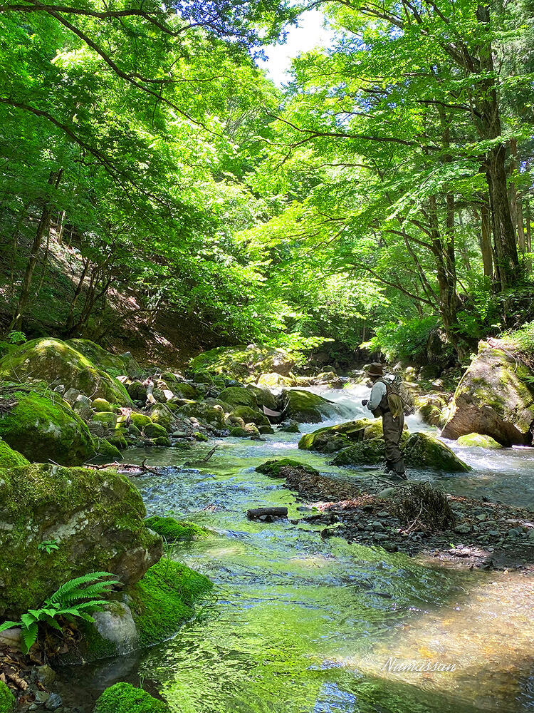 「静かな幸せなひととき」の写真
