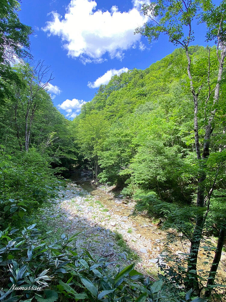 「大好きな渓を俯瞰する」の写真