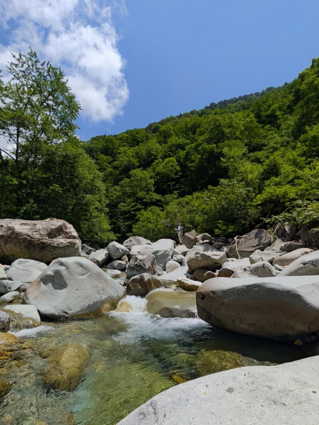 山岳渓流